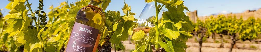 Nos vins
